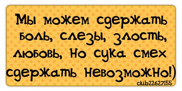 Смешные цитаты про любовь короткие