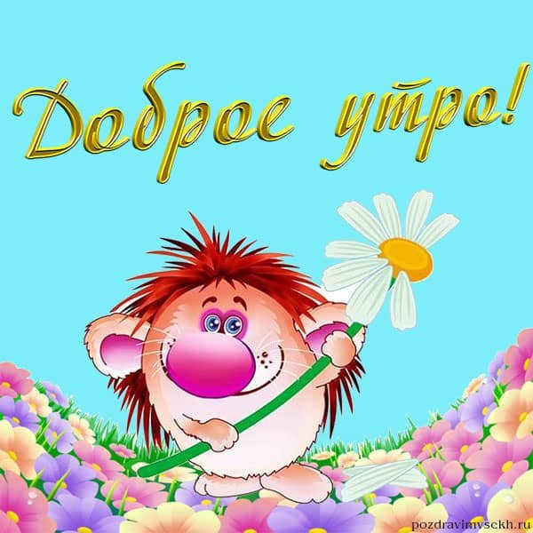 Ржачные картинки с добрым утром