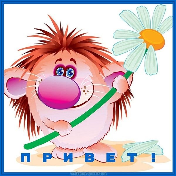 Привет света