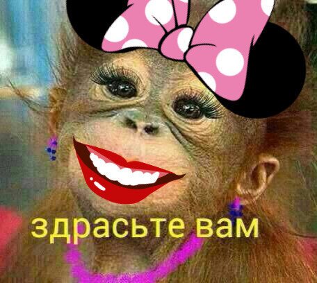 Здрасьте картинки