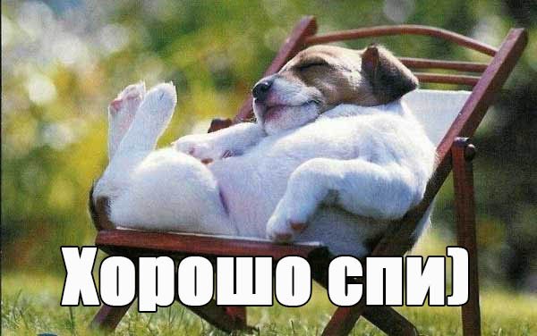 Спокойной ночи шутка прикол