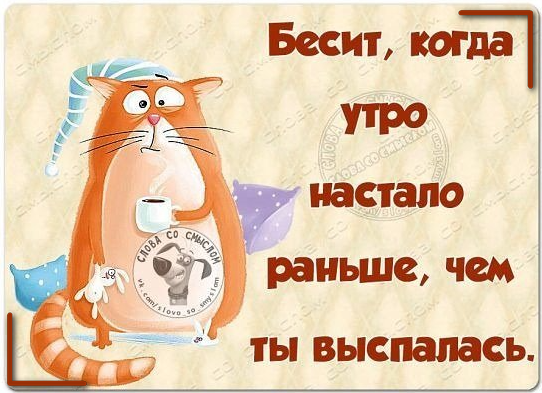 Выспались доброе утро