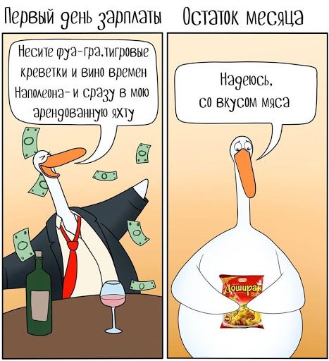 День зарплаты прикол