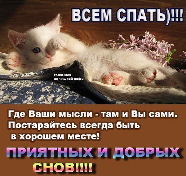 Открытки приятных снов