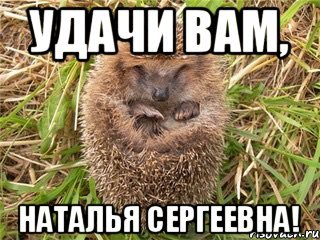 Приколы Наталья Сергеевна