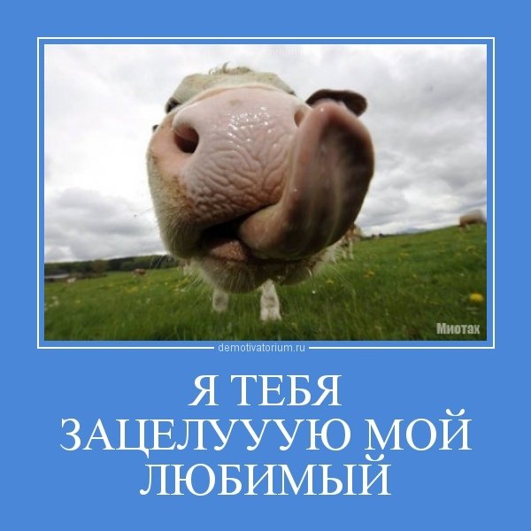 Приколы для любимого