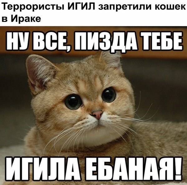 Приколы с матами картинки