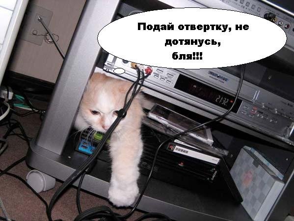Смешные фотографии с матом