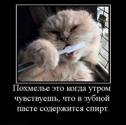 Похмелье демотиваторы