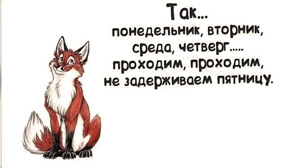 Смешные высказывания про вторник