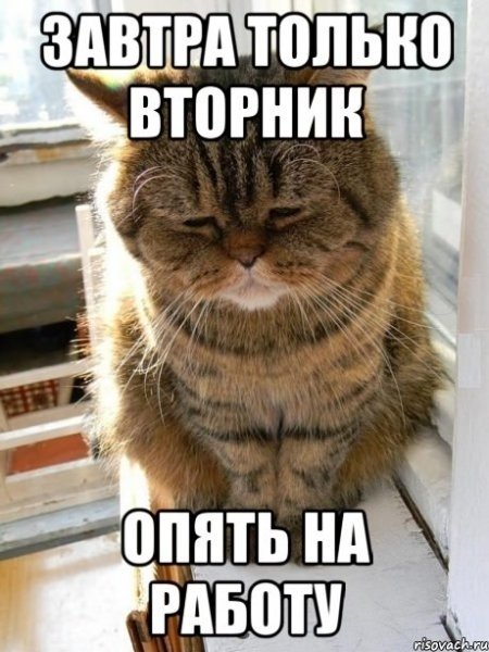 Вторник прикол