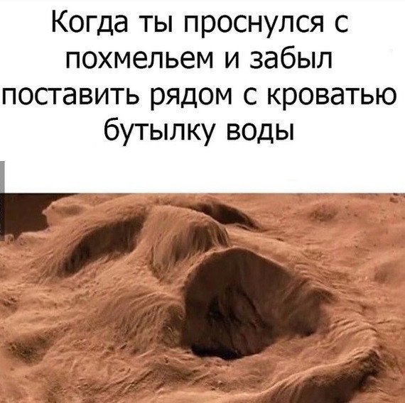 Похмелье приколы