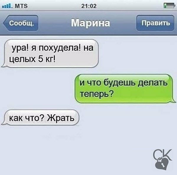 Прикольная переписка для поднятия настроения