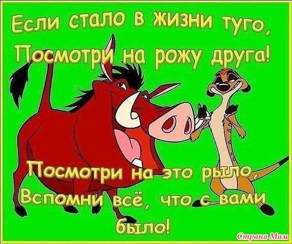 Смешные цитаты про дружбу