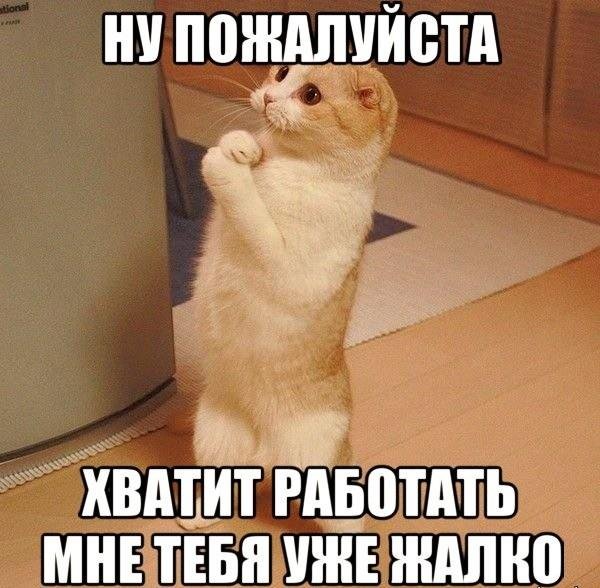 Давай жить дружно