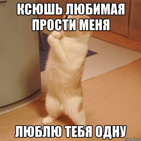 Люблю тебя прости меня