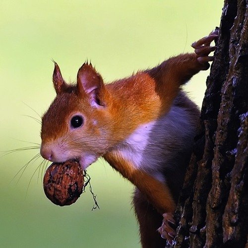 Мотиваторы позитивные смешные