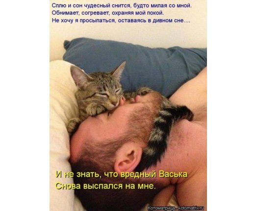 Как хочется спать картинки смешные