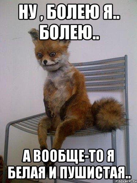 Не понял лиса Мем