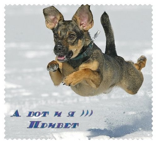 Привет а вот и я