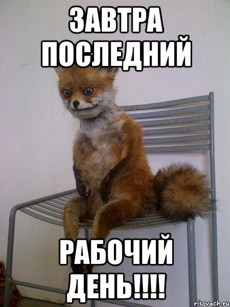 С первым рабочим днем
