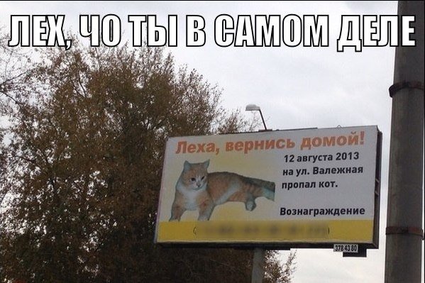 Леха Вернись домой