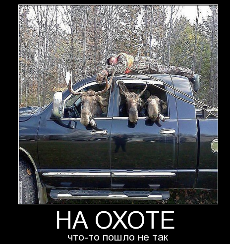 Анекдоты про охоту