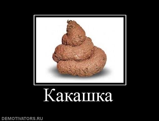 Человеческие экскременты