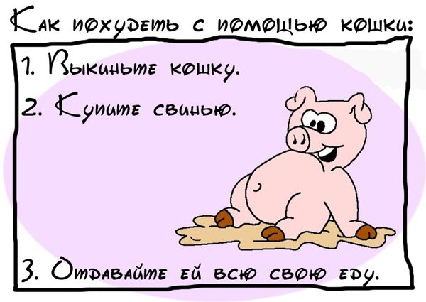 Анекдоты про похудение в картинках