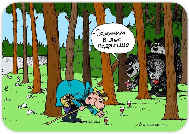 Сойти собирать. Грибник карикатура. Карикатуры про грибы и грибников. Лес карикатура. Шутки про лес.