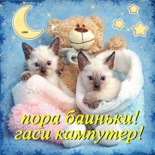 Спать пора спокойной ночи