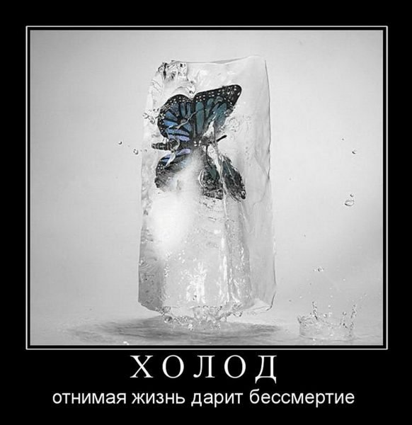 Демотиваторы про холод