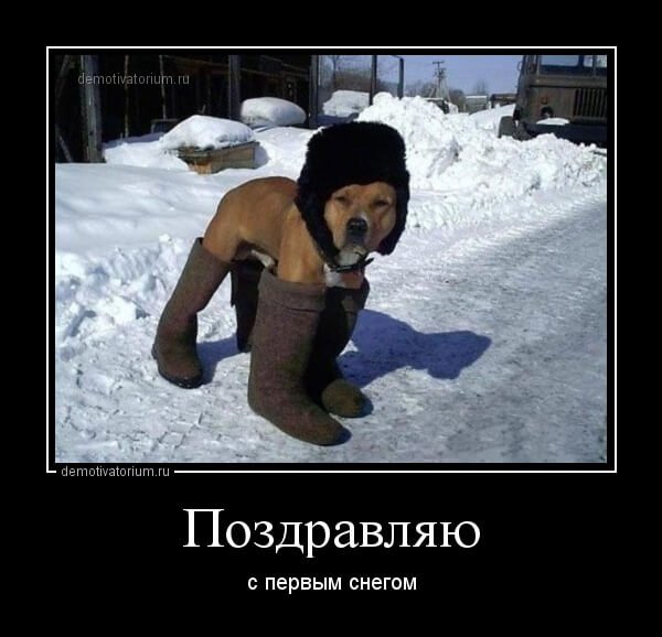 Зима юмор