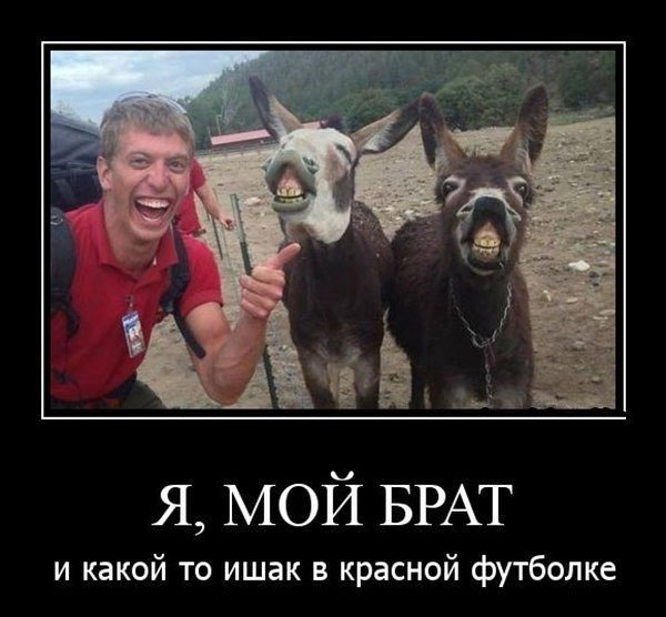 Смешные лица людей до слез