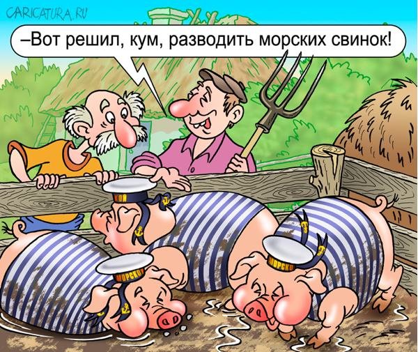 Приколы про моряков
