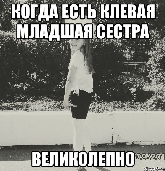 Смешные цитаты про сестру