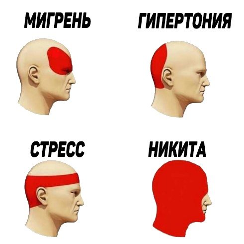 Мемы про Никиту