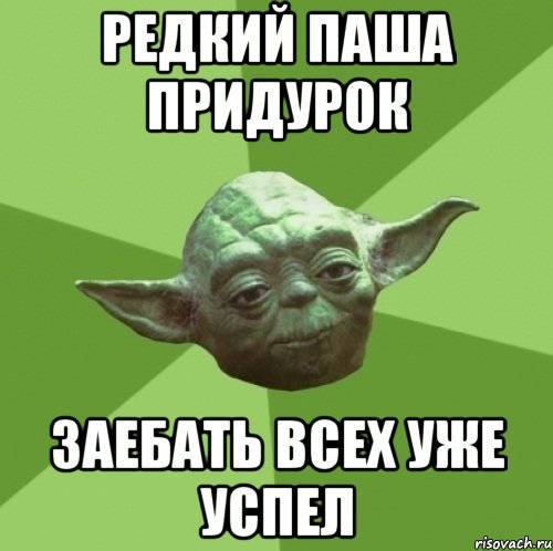 Приколы про Пашу