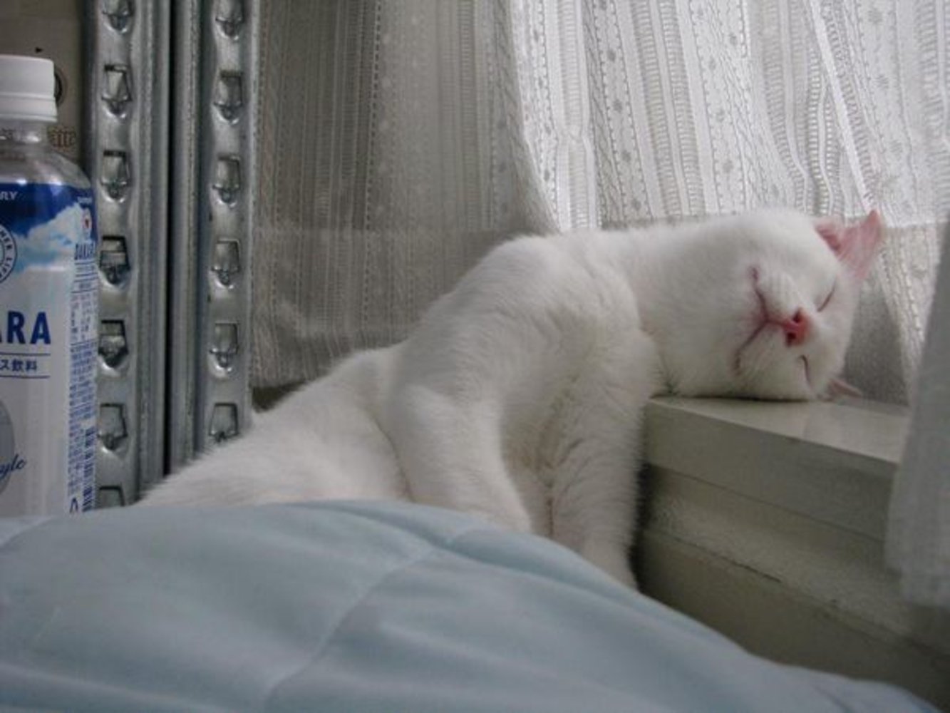 Доброе утро вставай картинка. Кот проснулся. Доброе сонное утро. Утренний кот. Я проснулся но кажется не весь.