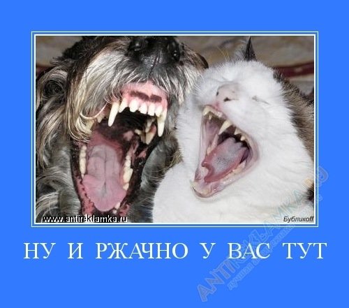 Забавные люди из соцсетей