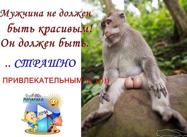Красивые статусы про пятницу