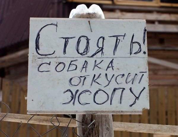 Приколы с надписями про людей