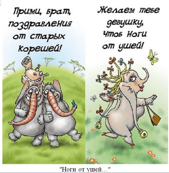 Прикольные пожелания
