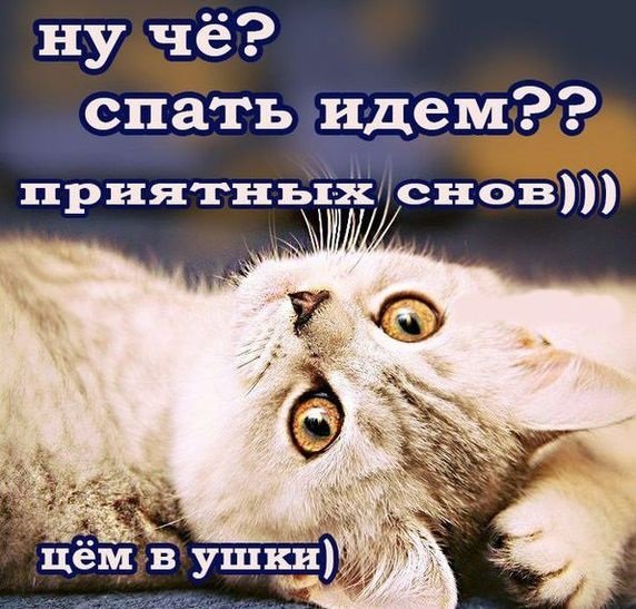Я спать спокойной ночи