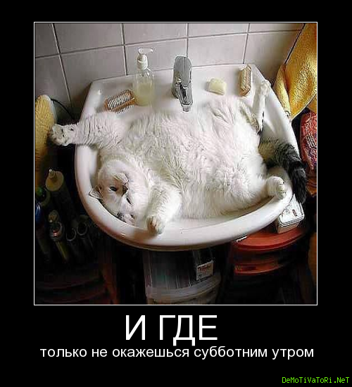 Утро субботы