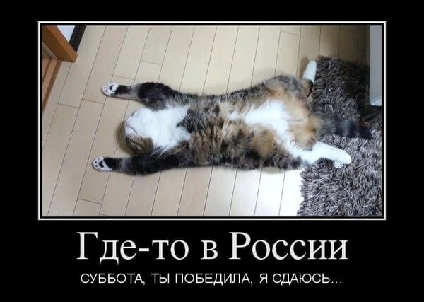 Субботние демотиваторы