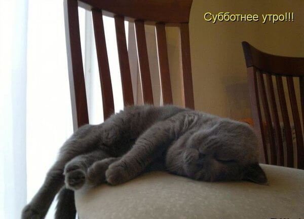 Рабочее утро субботы