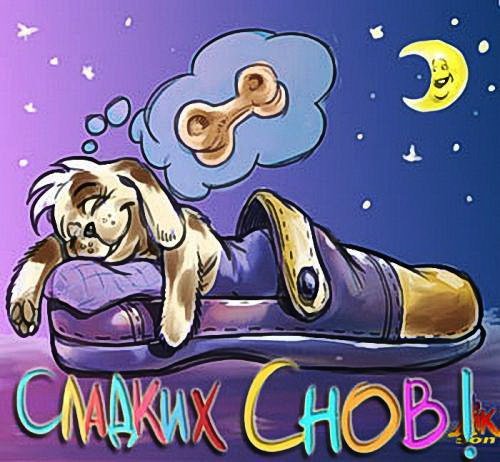 Сладких снов собачки