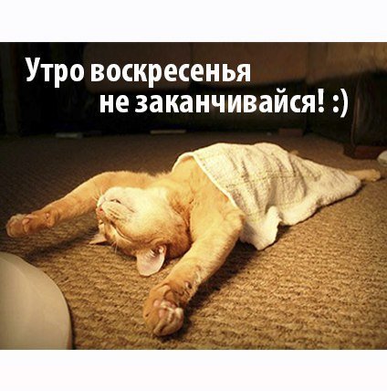 Утро воскресенья