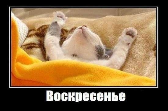 Хорошего воскресенья